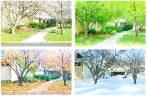 4 seasons