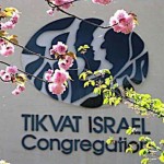 ti logo