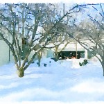 winter ti