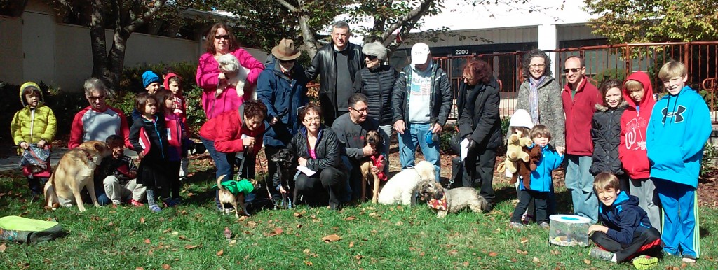 Blessing of the Animals October 18, 2015 - Photo by Rachel Denrich
