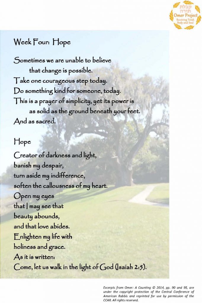 Omer Project Quotations - Week 4b